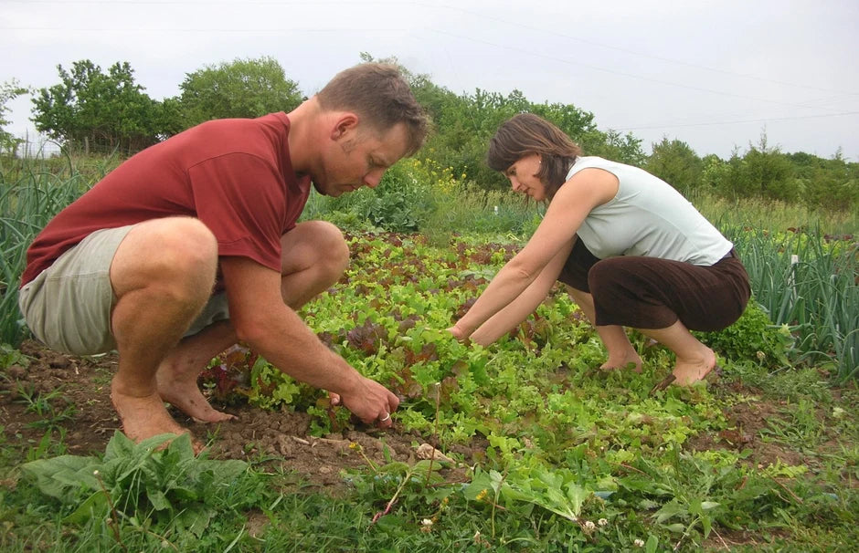 De natuurlijke verbinding onder je voeten